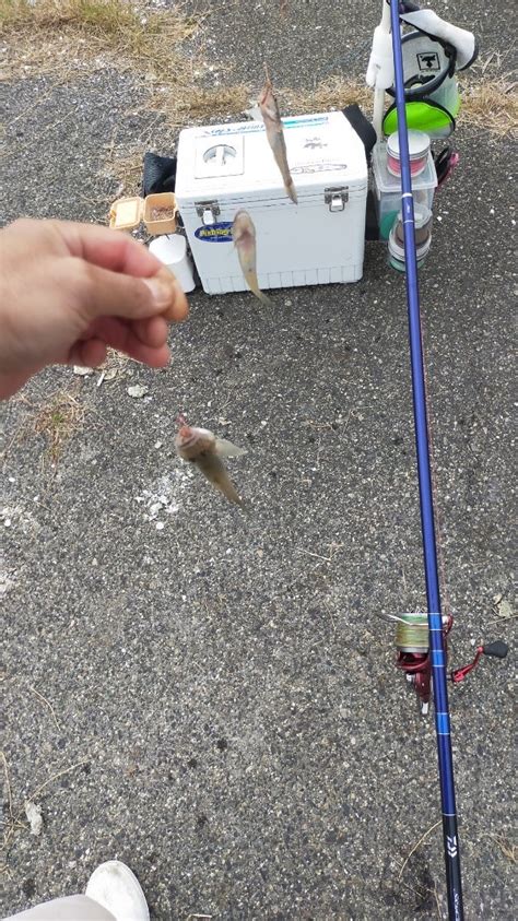 東海釣り三昧の釣行日記