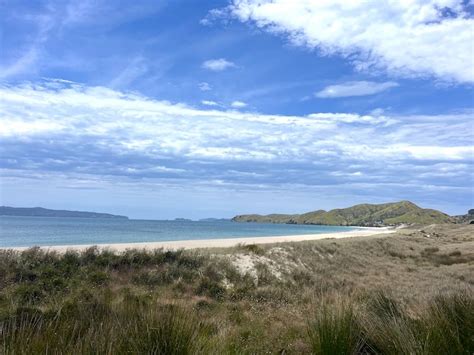 17 of the Best Coromandel Beaches - Ultimate Summer Guide