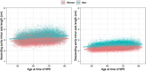 Aortic Size By Age And Sex The Length Of The Minor Elliptical Axis Of Download Scientific