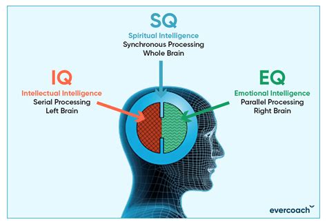 How To Develop Spiritual Intelligence Evercoach By Mindvalley