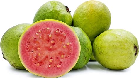 Red Guava And White Guava 100 Seeds Each Variety Fresh Seeds Etsy