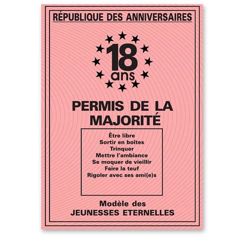 Permis de la Majorité Cadeau Original pour 18 ans MyCrazyStuff 4 46