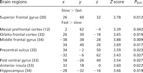 Differential Brain Responses To Slow And Fast Sleep Spindles In