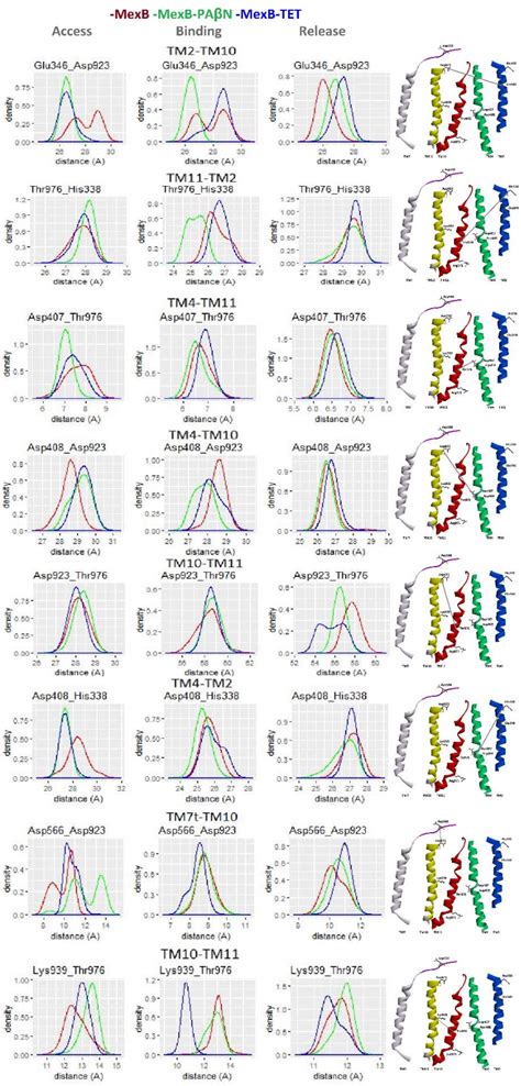 Figure From Towards An Understanding Of Ligand Induced Functional