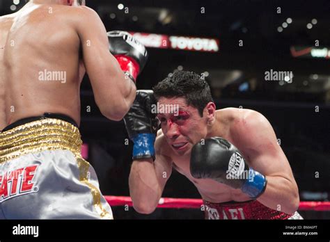 Israel Vazquez vs Rafael Marquez Stock Photo - Alamy