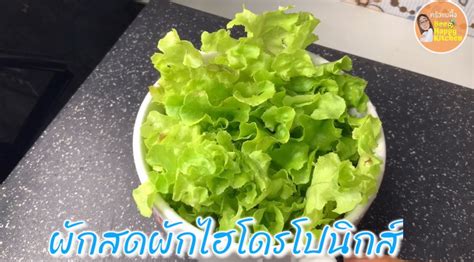 ทานผักให้อร่อยด้วยเมนู “ผักอวกาศชุปแป้งทอดกรอบ” เด็กๆ ทานได้ชอบด้วย ...