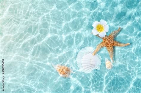 Starfish And Flower On The Summer Beach In Sea Water Summer Background