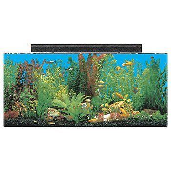 SeaClear 30 gal Show Acrylic Aquarium Combo Set, 36 by 12 by 16", Clear ...