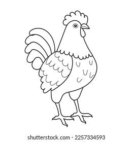 Sketch Rooster Chicken On White Background Stock Vector (Royalty Free ...