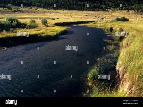 Hope valley wildlife area hi-res stock photography and images - Alamy