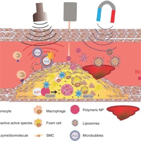 2 Illustration Showing The Stimulus Responsive Nanoparticles Applied