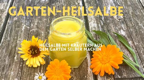 Heilsalbe Mit Kr Utern Aus Dem Garten Selber Machen Spitzwegerich