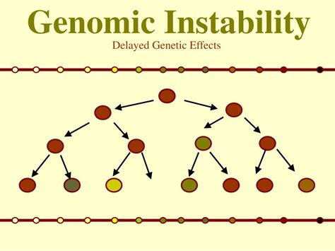 Ppt Genomic Instability Powerpoint Presentation Free Download Id