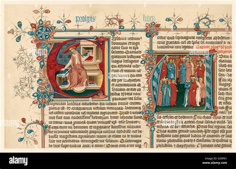 saint jerome circa  res stock photography  images alamy