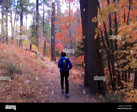 Hiking in Autumn Stock Photo - Alamy