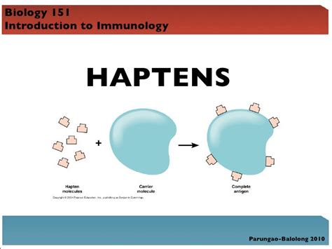 Bio 151 Lecture 4