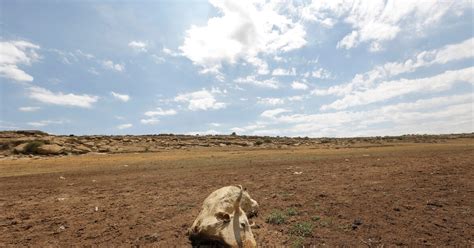 Honger Dreigt Voor 14 Miljoen Mensen In Zuidelijk Afrika De Morgen