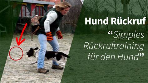 Hund R Ckruf Simples R Ckruftraining F R Den Hund Youtube