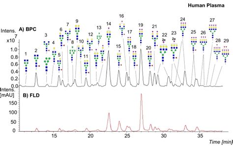 N Glycan Profiling Of Glycoproteins By Hydrophilic Interaction Liquid