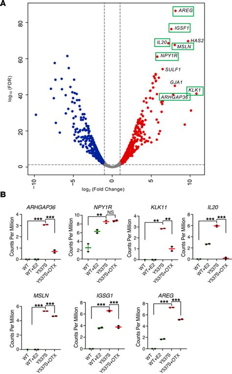 Top Genes Overexpressed In Mcf 7 Y537s Cells Are Also Overexpressed In Download Scientific