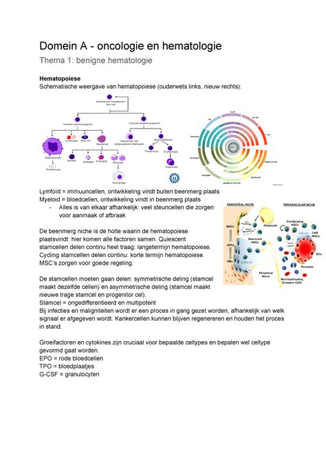 DAT1 Benigne Hematologie Domein A Oncologie En Hematologie Thema