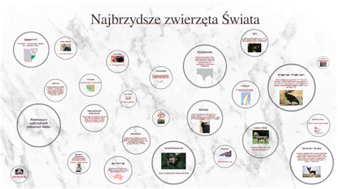 Najbrzydsze Zwierz Ta Wiata By Bartosz Linard On Prezi