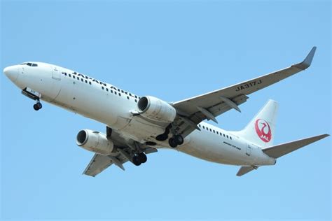 機体記号 Ja317j Jal 機内設備・様子の写真 Flyteamフライチーム