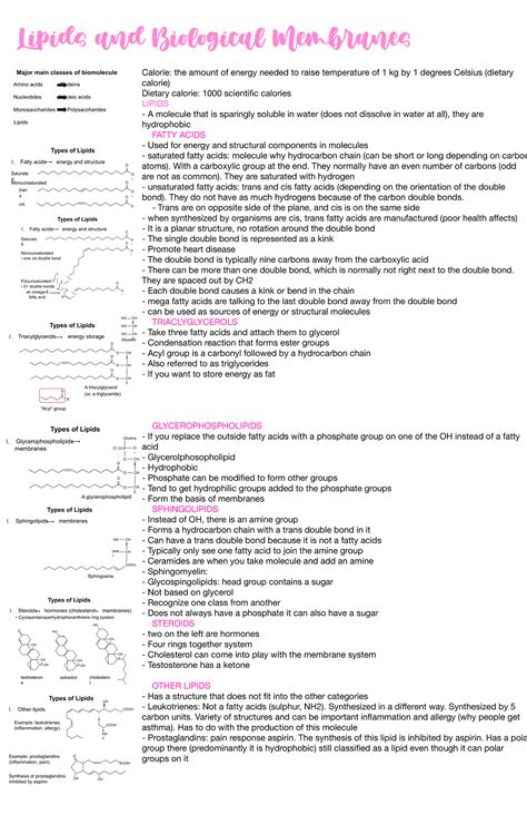 Unit B Metabolism Lipids And Biological Membranes Calorie The Amount