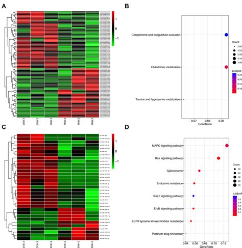 Egfr Exon E A Fragment Deletion Ijgm