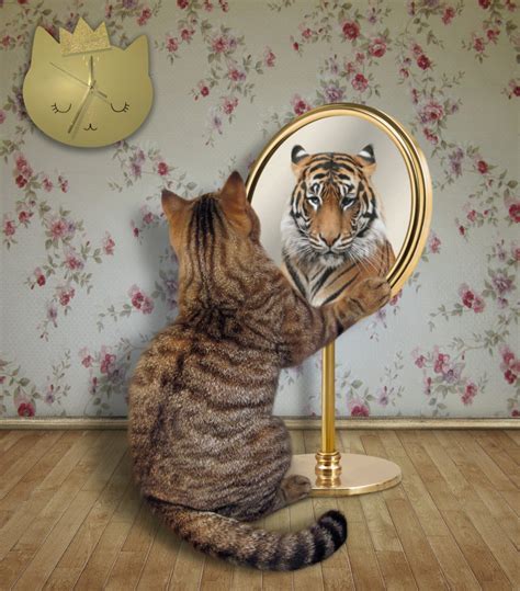 Cat Looks At A Tiger In The Mirror Catgazette