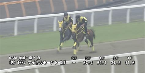 ラジオnikkei賞 2023 最終追い切り【高評価 Best3】 馬tube 競馬予想ブログ