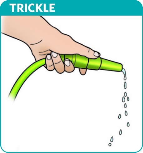trickle  meaning  trickle   longman dictionary
