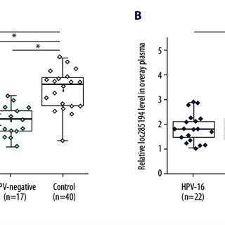 Long Noncoding Rna Lncrna Loc Overexpression Promoted