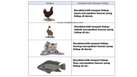 Kunci Jawaban Kelas 4 Tema 3 Halaman 133 Kelompokkan Hewan Berdasarkan