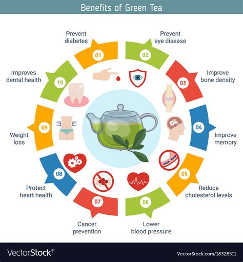 Foods Infographics Green Tea Royalty Free Vector Image