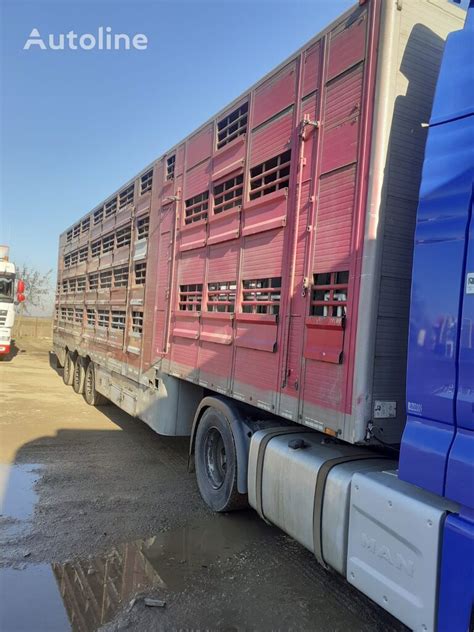 Pezzaioli livestock semi trailer for sale Romania Roșiori de Vede RK36276