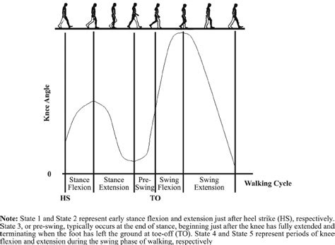 Amputee Gait Cycle