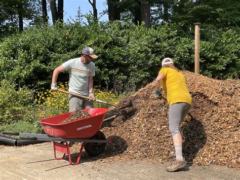 Creating a Mulch Improved Soil Pt 1 - Capital Trees