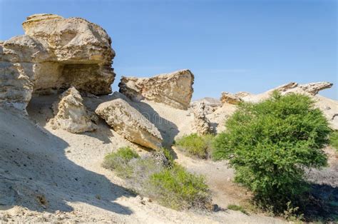 Natural Rock Formations Sparse Vegetation Lake Arco Angolas Namib