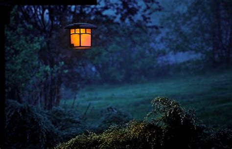 serene outdoor night scene   glowing lamp illuminating foggy
