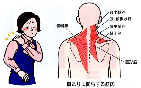 診療案内｜桶川市上日出谷の上日出谷楢原整形外科｜整形外科、リハビリテーション科