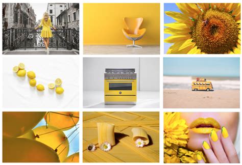 Yellow Aesthetic Yellow Aesthetic Mood Board Design Mood 49 Off