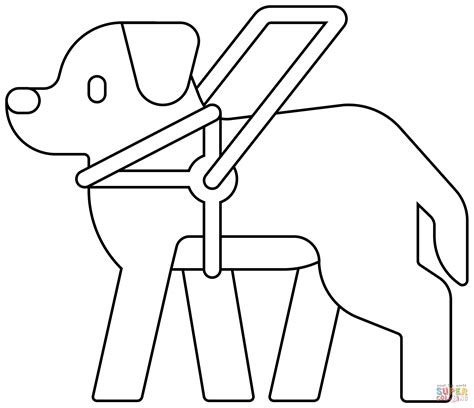 guide to dog itching safely 12