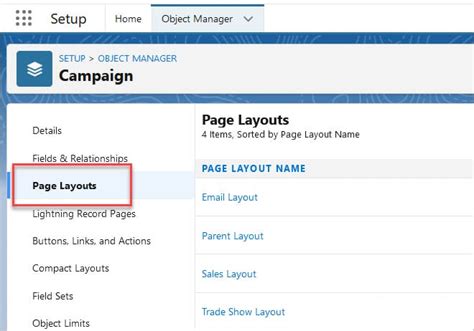 How To Setup Campaigns In Salesforce Blu Ninjas