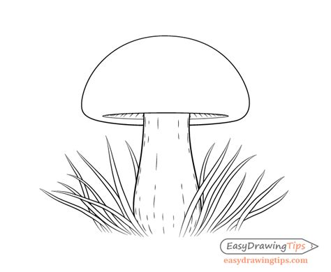 How To Draw A Mushroom In Steps Easydrawingtips