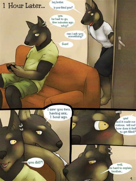 Gay Furry Brothers Porn Comics Sexdicted