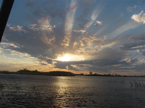 Botswana Ultimate Wildlife - Reef and Rainforest Tours