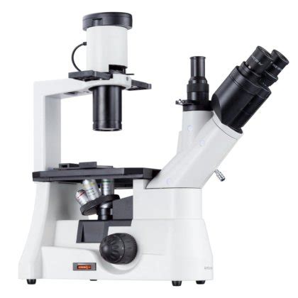 Amscope In Series Infinity Corrected Inverted Biological Trinocular