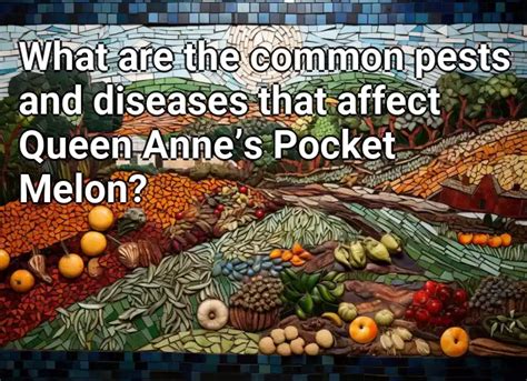 What Are The Common Pests And Diseases That Affect Queen Anne’s Pocket Melon Agriculture Gov