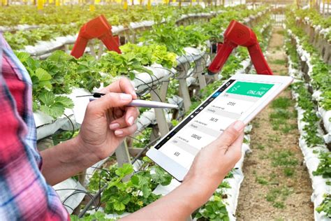 Il futuro dell agricoltura È nell intelligenza artificiale